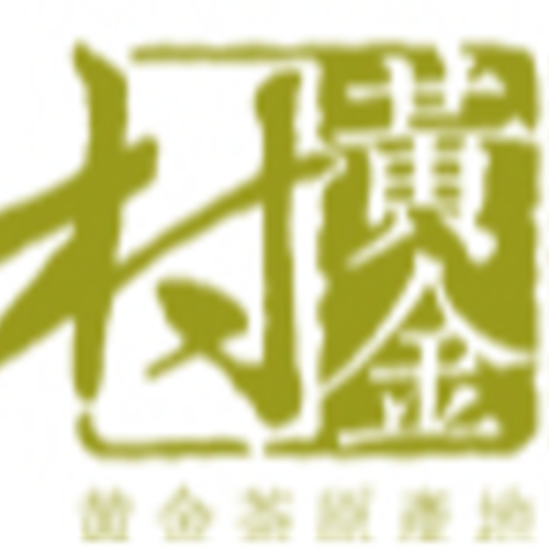 Baojing Golden Tea · Dragon & Phoenix Auspicious Harmony · Stick Pack Green Tea Business Gift Set